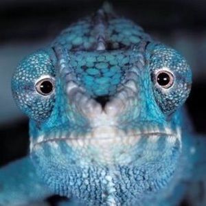 Meet your Posher, Kevin